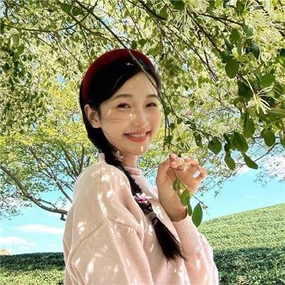 灵魂的四段旅程 在线观看封面